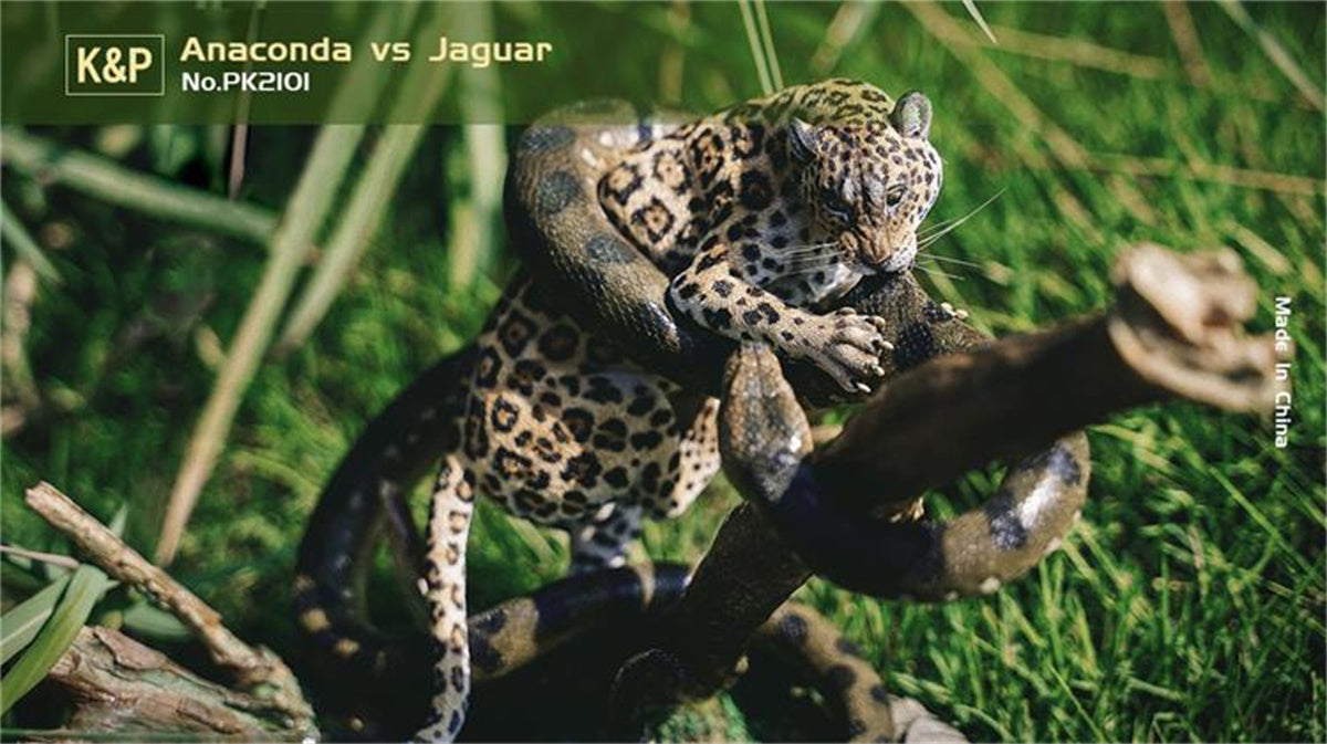 Detail Green Anaconda Vs Jaguar Nomer 23