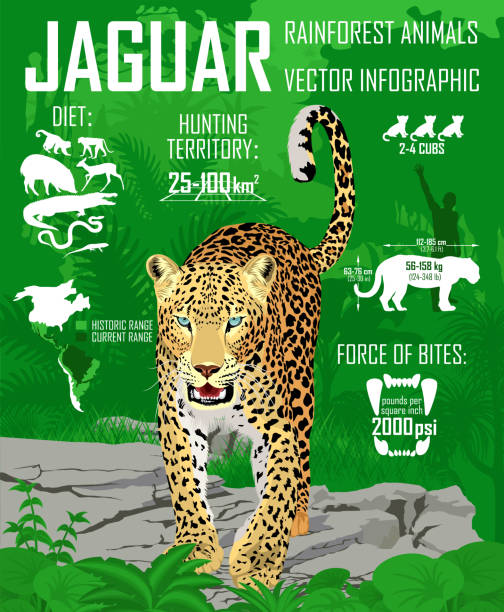 Detail Green Anaconda Vs Jaguar Nomer 50