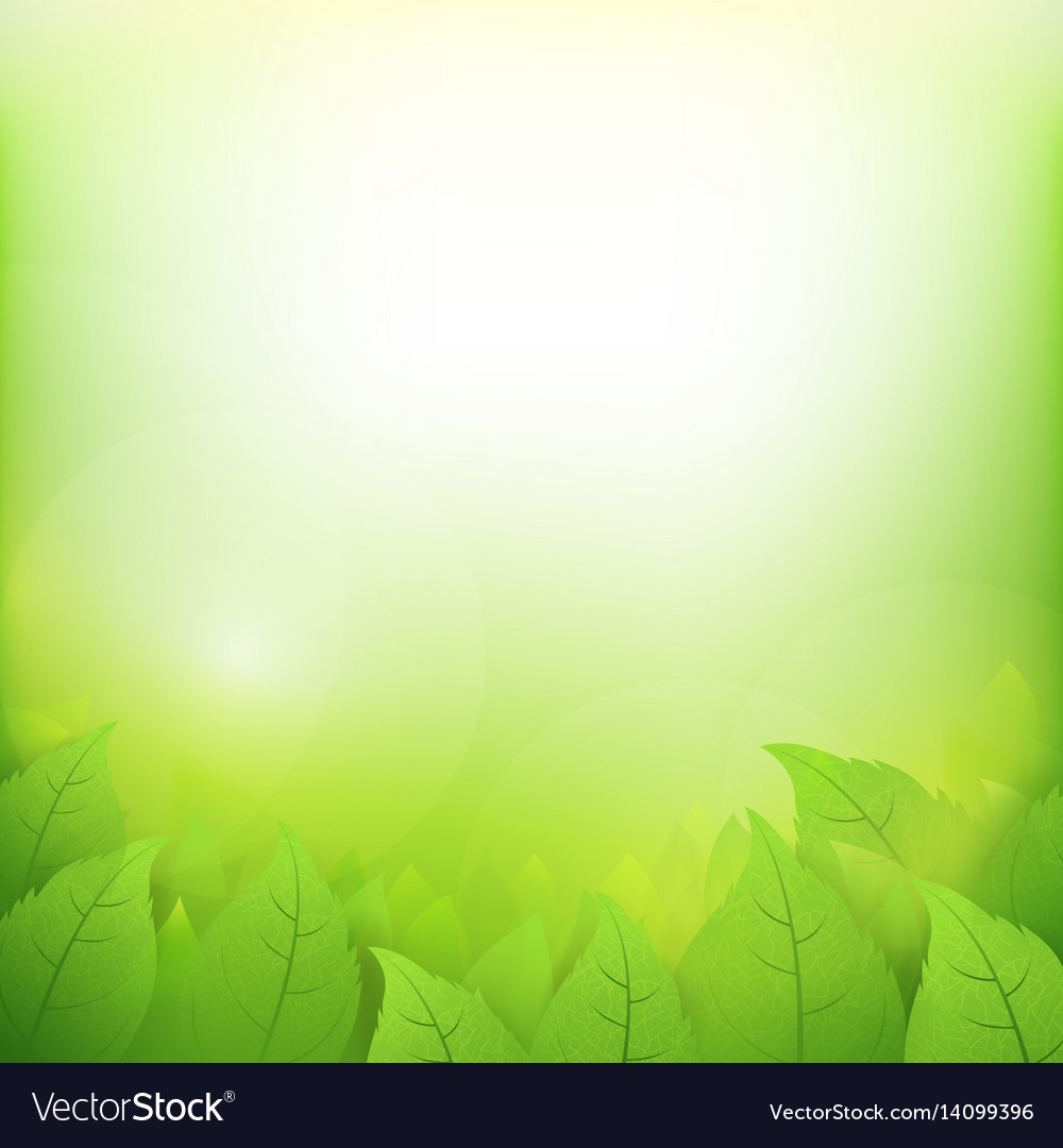 Detail Green Background Abstract Nomer 36