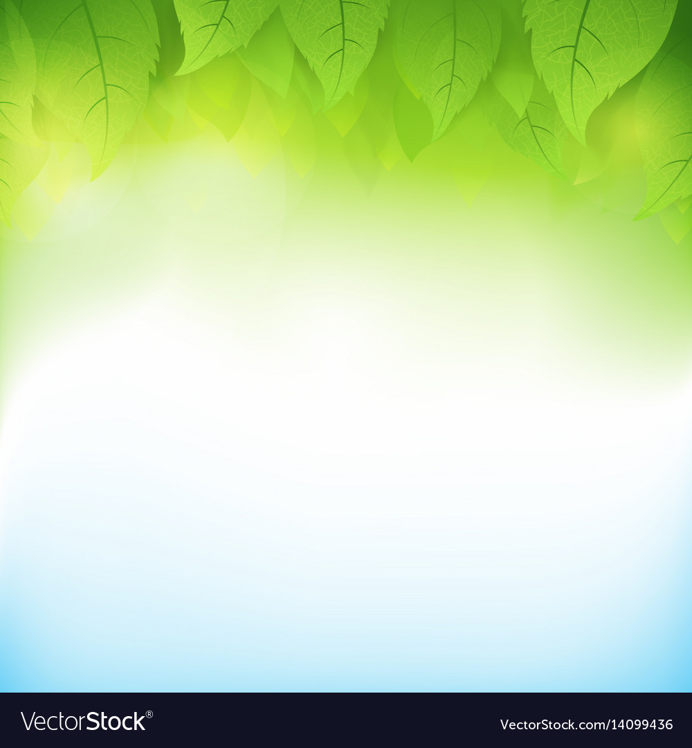Detail Green Background Abstract Hd Nomer 44