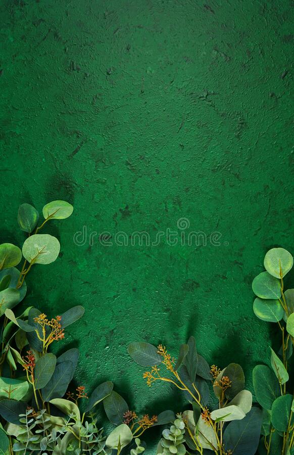 Detail Green Background Aesthetic Nomer 32