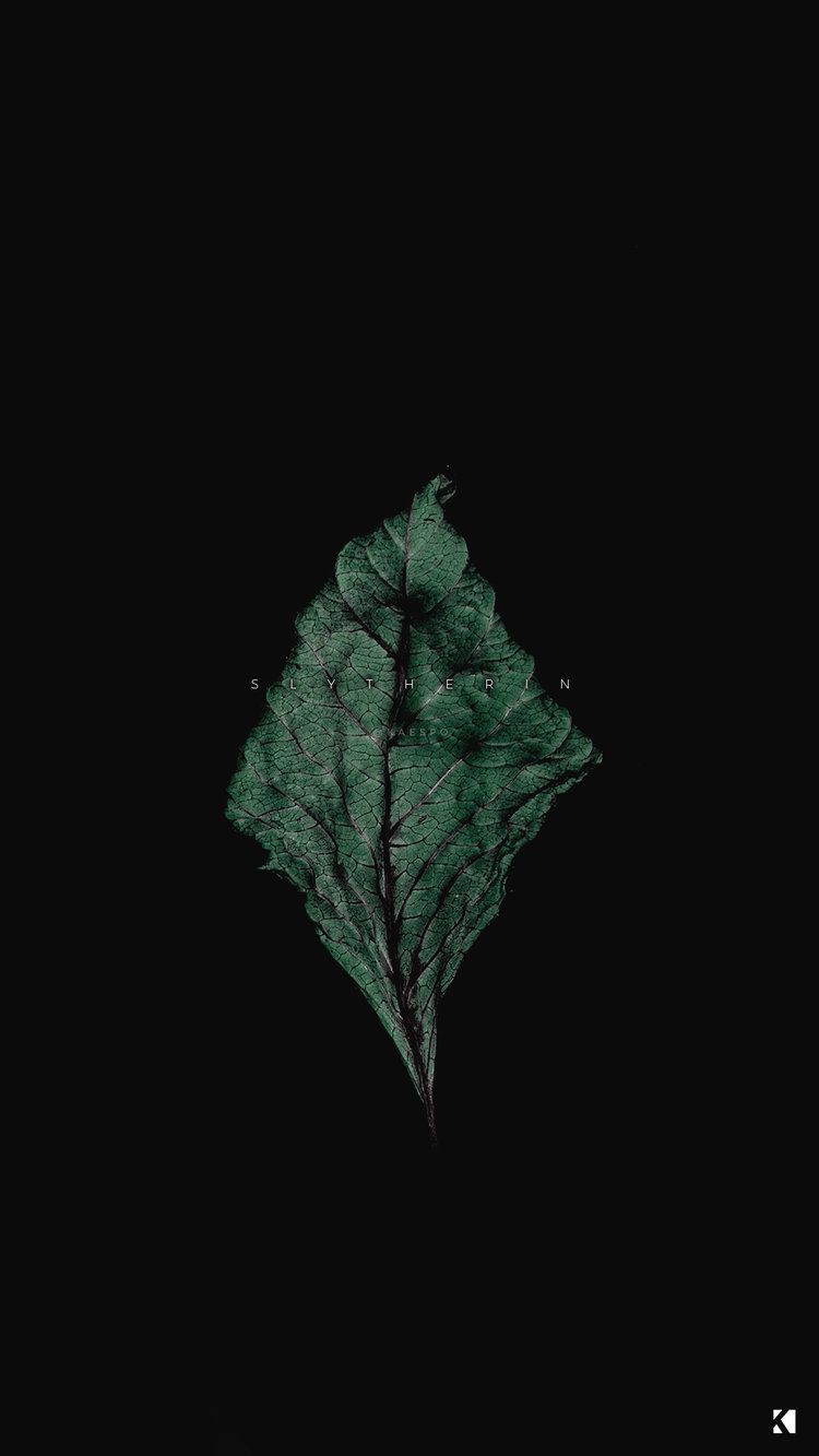 Detail Green Background Aesthetic Nomer 44