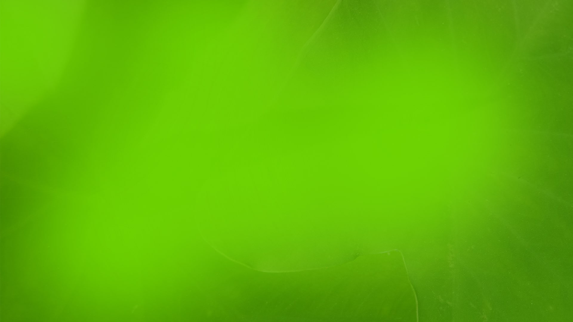 Green Background Banner - KibrisPDR