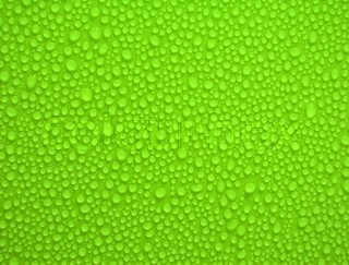 Detail Green Background Images For Websites Nomer 15