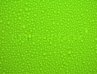 Detail Green Background Images For Websites Nomer 15