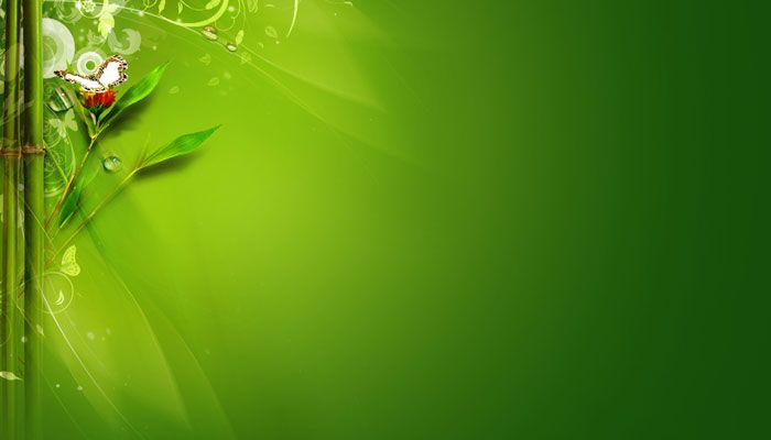 Detail Green Background Images For Websites Nomer 24