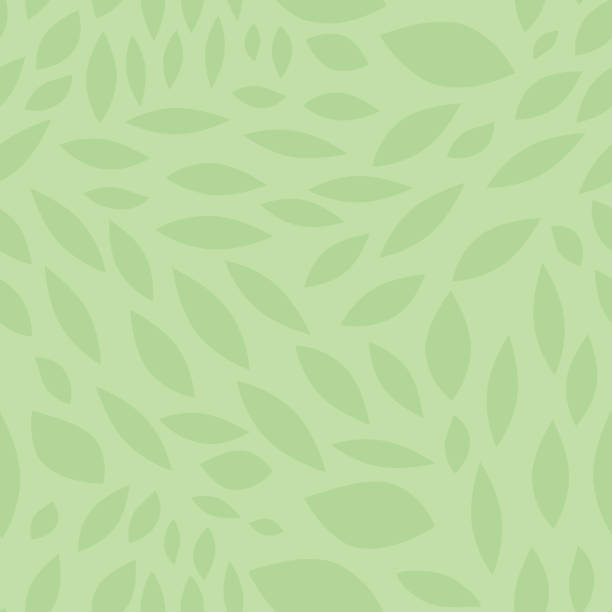 Detail Green Background Images For Websites Nomer 40