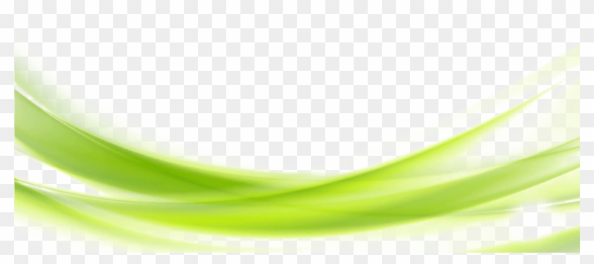 Detail Green Background Png Nomer 11