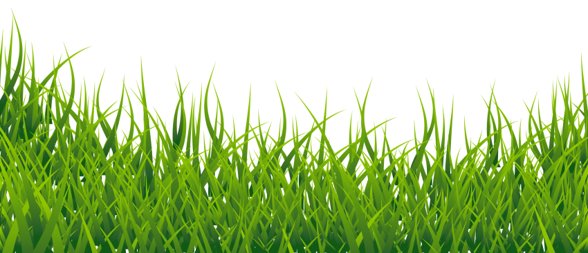 Detail Green Background Png Nomer 31