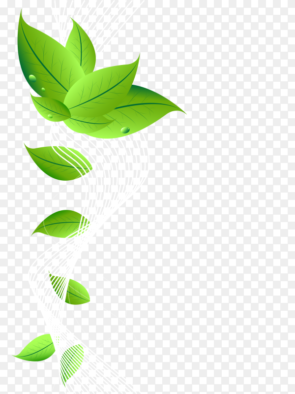 Detail Green Background Png Nomer 50
