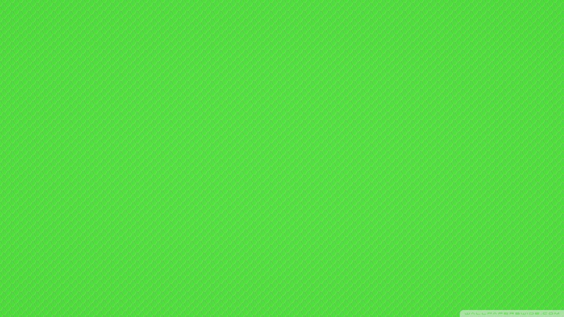 Detail Green Background Wallpaper Nomer 15