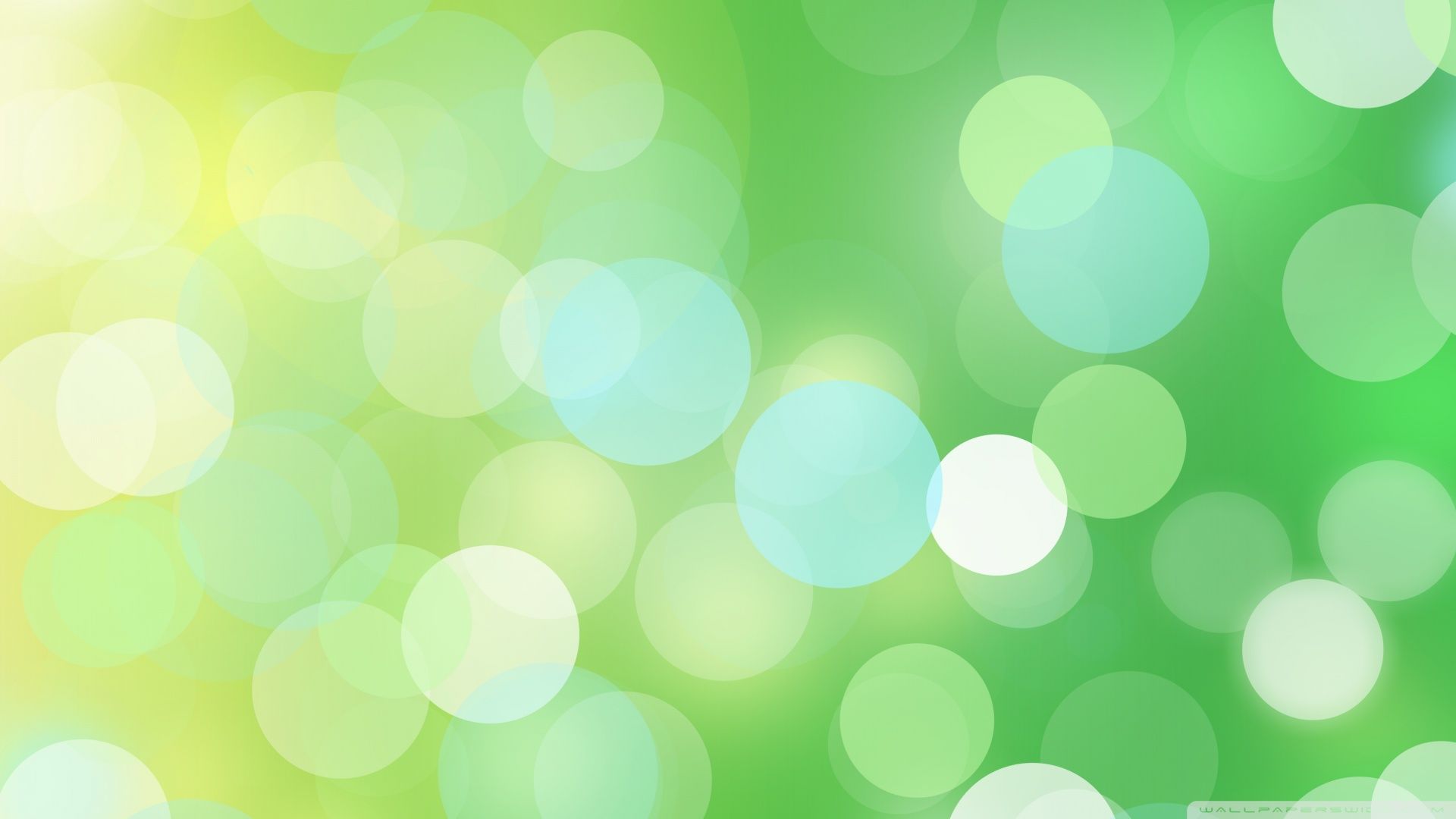 Detail Green Background Wallpaper Nomer 3