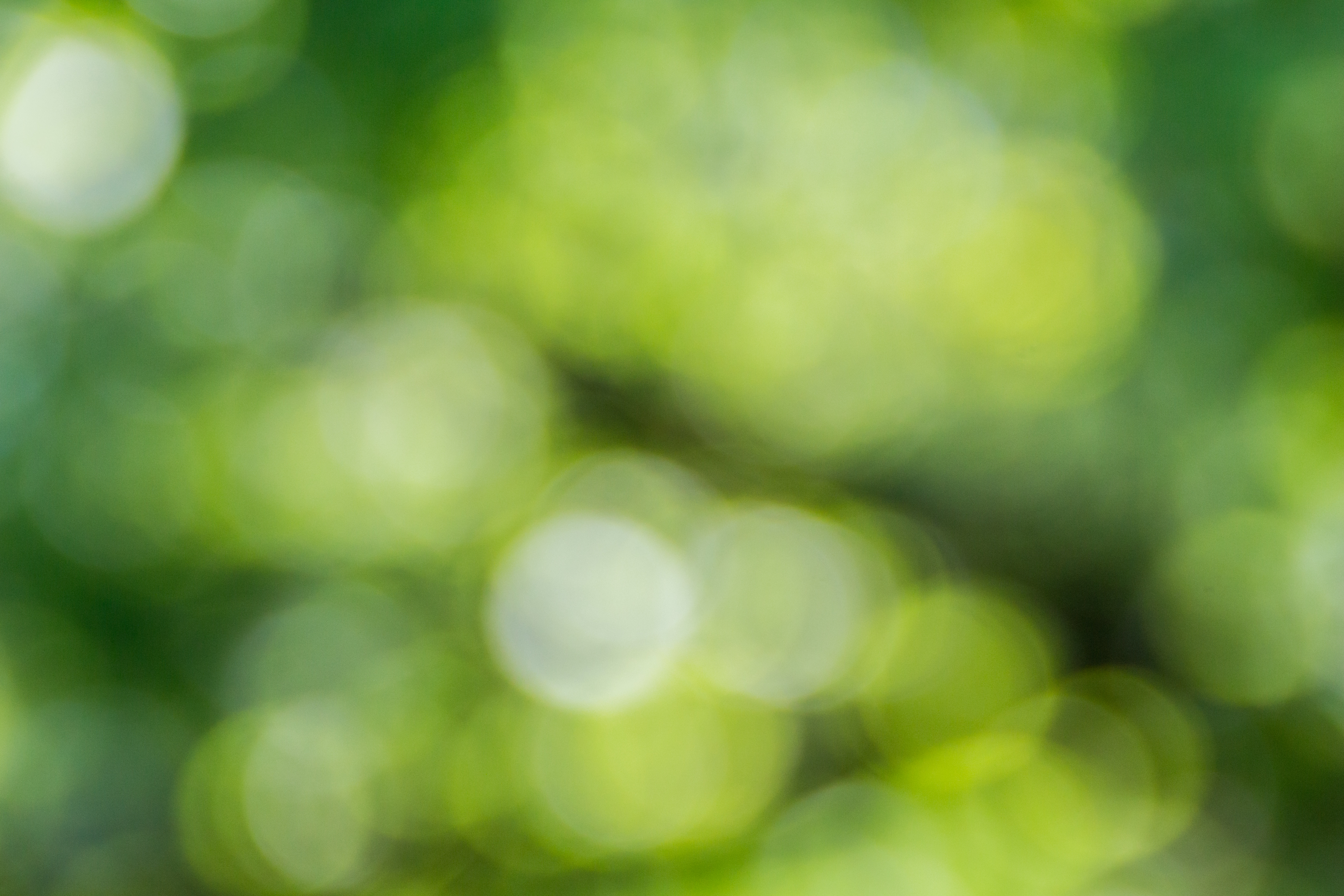 Detail Green Background Wallpaper Nomer 34