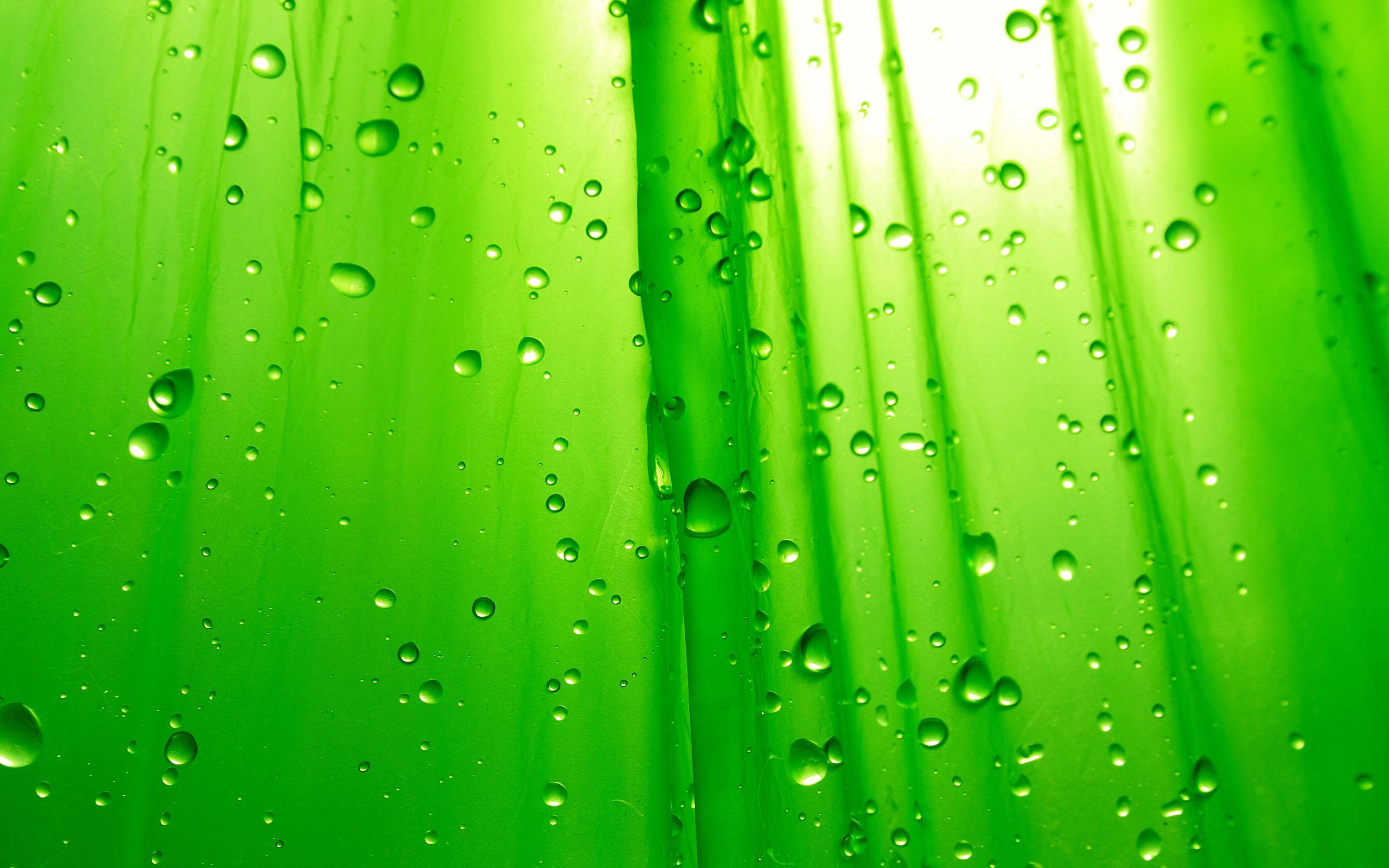 Detail Green Background Wallpaper Nomer 46