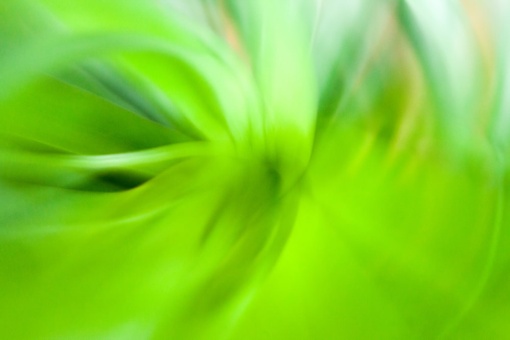 Detail Green Background Wallpaper Nomer 52