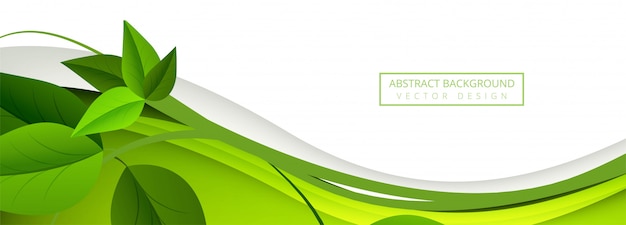 Detail Green Banner Background Nomer 28