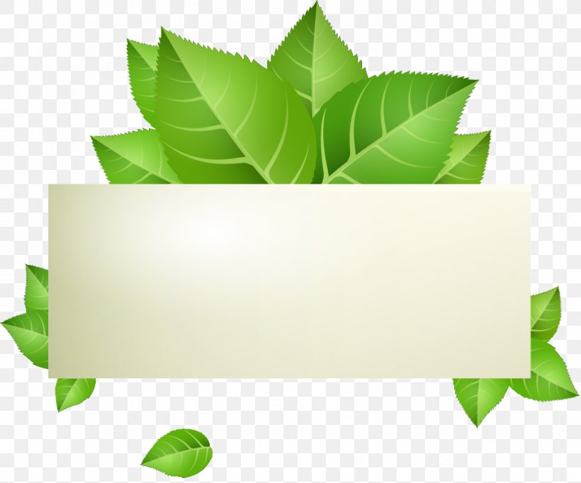 Detail Green Banner Vector Nomer 44