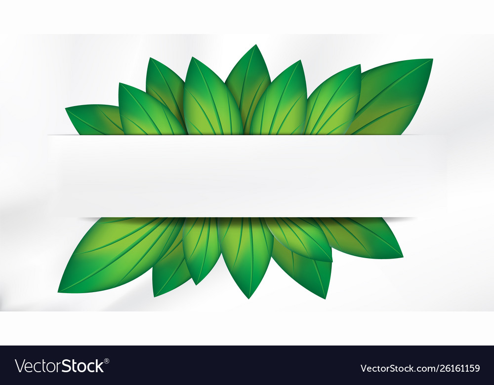 Detail Green Banner Vector Nomer 51