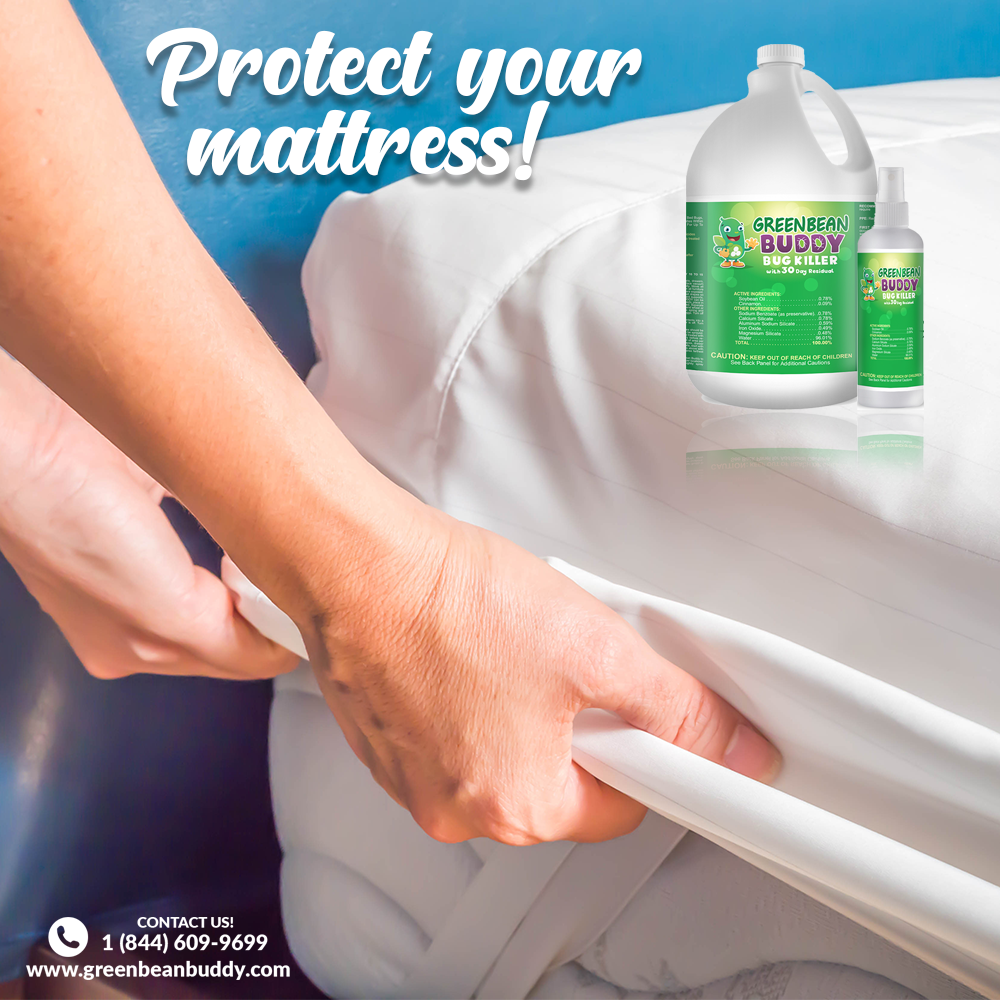 Detail Green Bean Bed Bug Killer Nomer 20