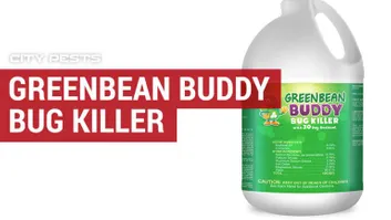 Detail Green Bean Bed Bug Killer Nomer 22