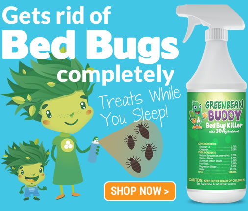 Detail Green Bean Bed Bug Killer Nomer 4