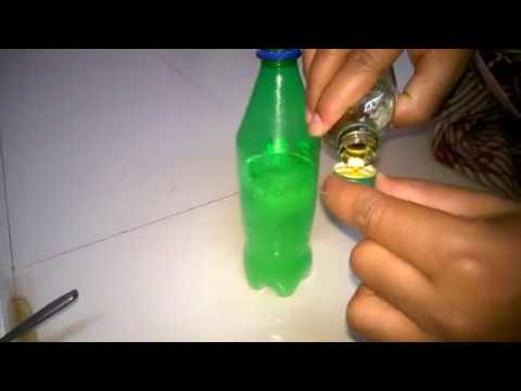 Detail Green Bean Bed Bug Killer Nomer 31