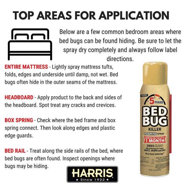 Detail Green Bean Bed Bug Killer Nomer 32