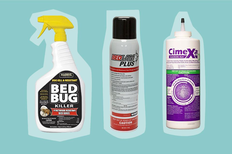 Detail Green Bean Bed Bug Killer Nomer 34