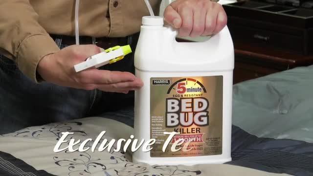 Detail Green Bean Bed Bug Killer Nomer 35