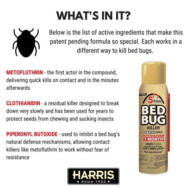 Detail Green Bean Bed Bug Killer Nomer 38