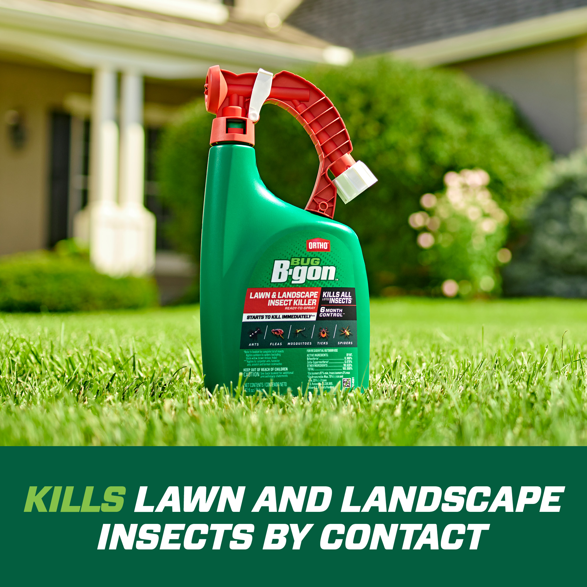 Detail Green Bean Bed Bug Killer Nomer 54