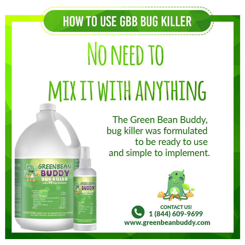 Detail Green Bean Bed Bug Killer Nomer 9