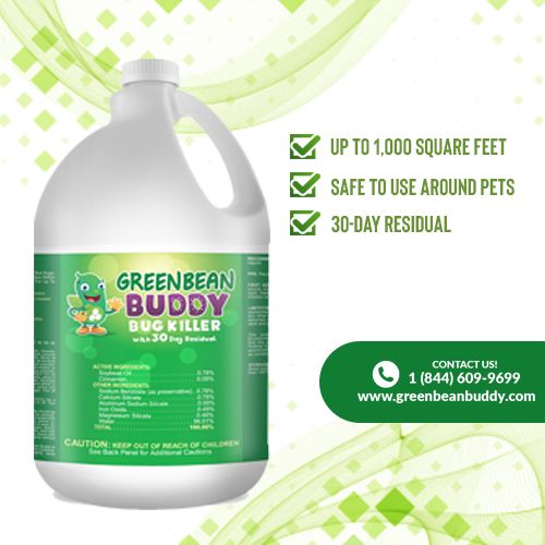 Detail Green Bean Bed Bug Killer Nomer 10