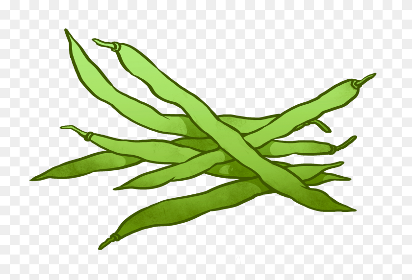 Detail Green Bean Clip Art Nomer 7