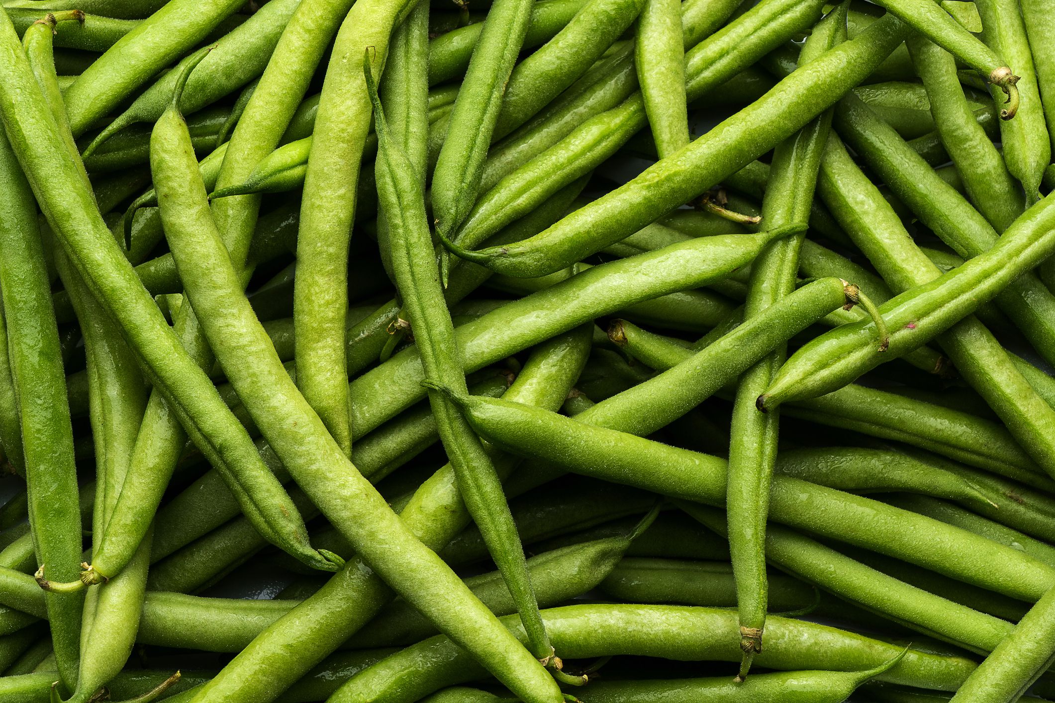 Detail Green Bean Image Nomer 32