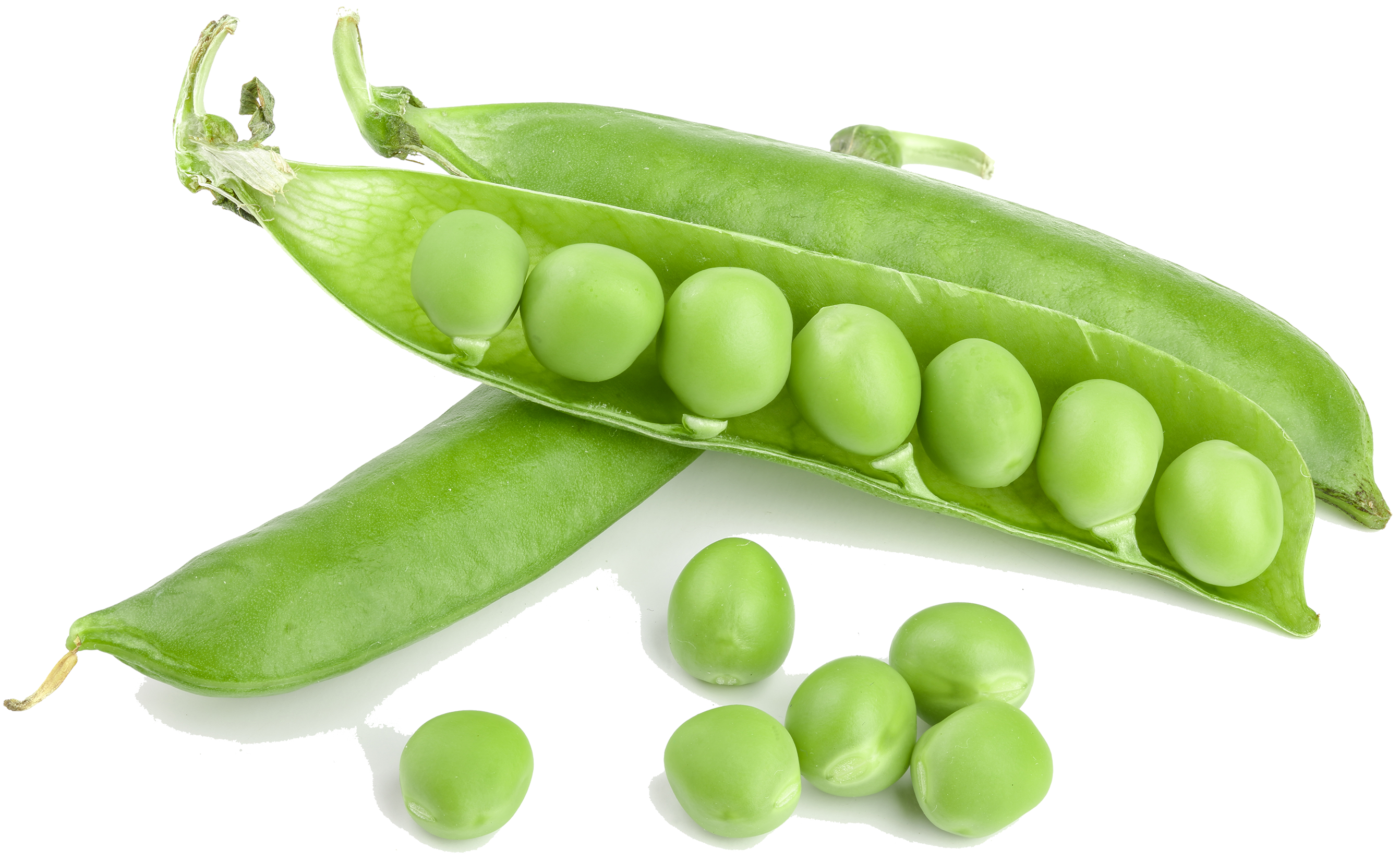 Detail Green Bean Image Nomer 55