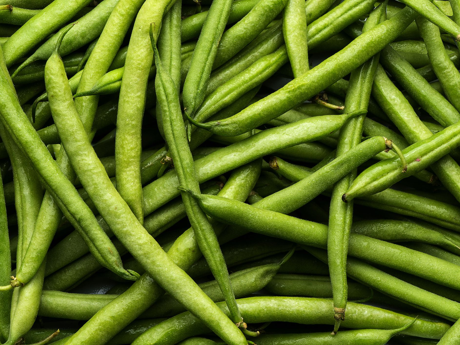 Detail Green Bean Images Nomer 5