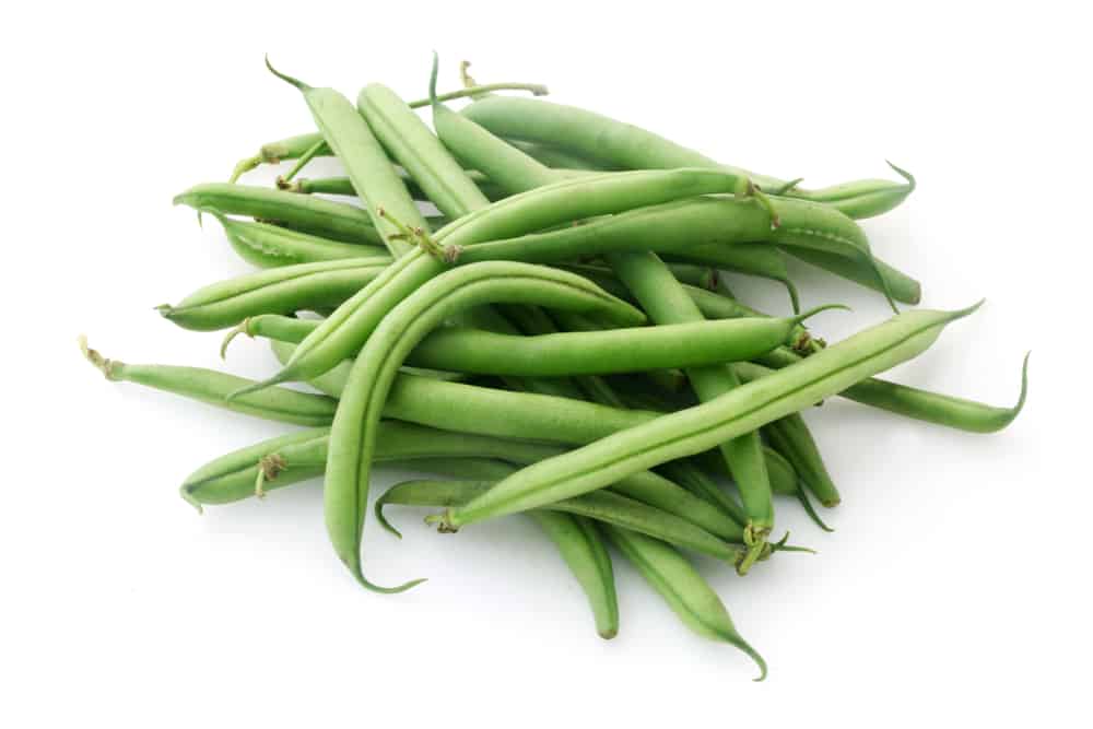 Detail Green Bean Picture Nomer 56