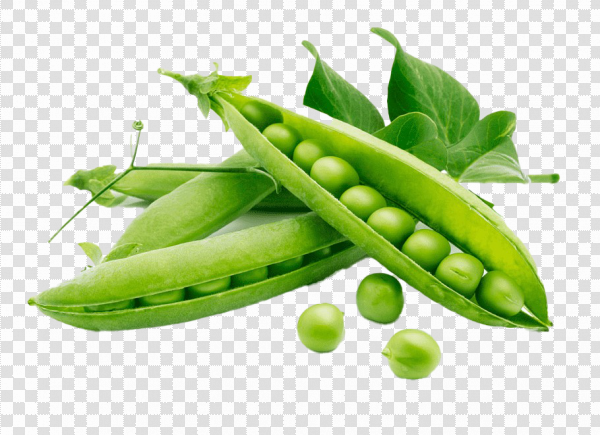 Detail Green Bean Png Nomer 18