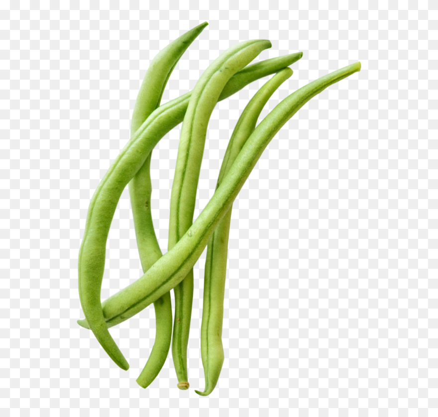Detail Green Bean Png Nomer 28
