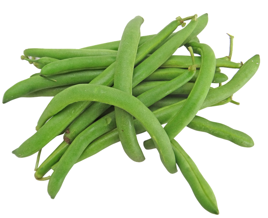 Detail Green Bean Png Nomer 4