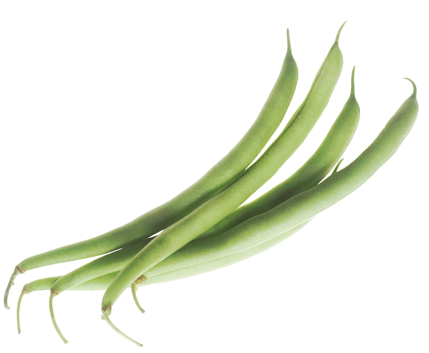 Detail Green Bean Png Nomer 33