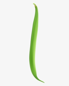 Detail Green Bean Png Nomer 34