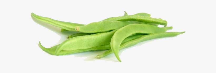 Detail Green Bean Png Nomer 35