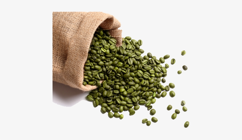 Detail Green Bean Png Nomer 40