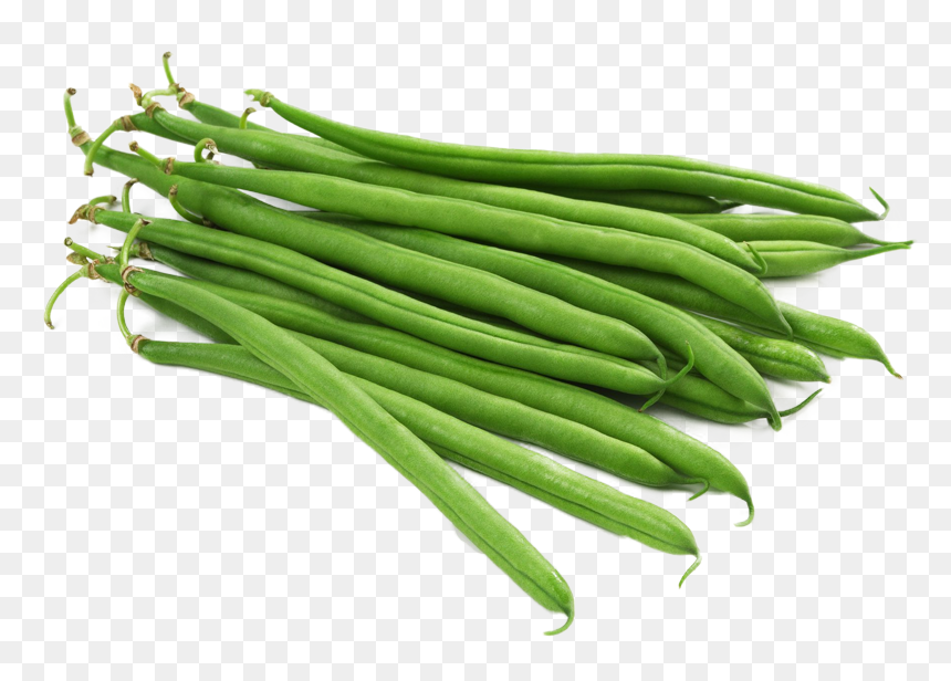 Detail Green Bean Png Nomer 42