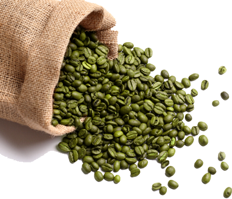 Detail Green Bean Png Nomer 54
