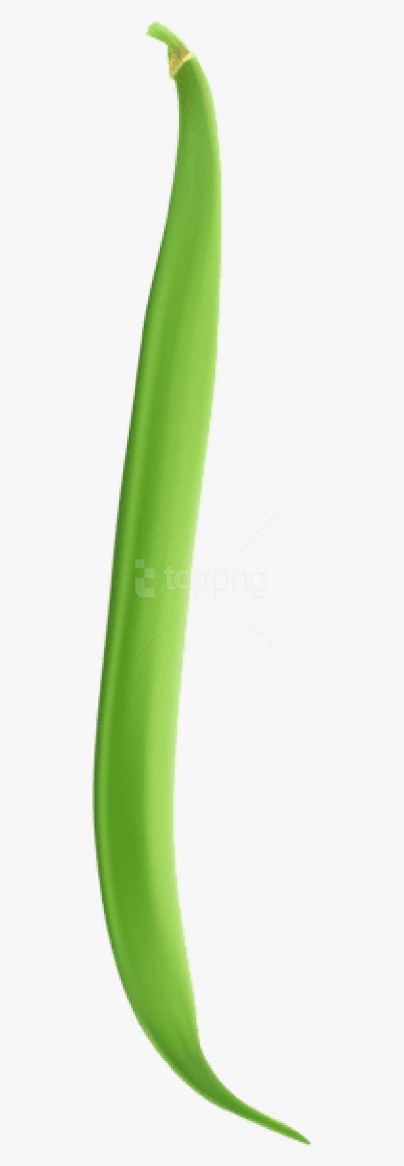 Detail Green Bean Png Nomer 8