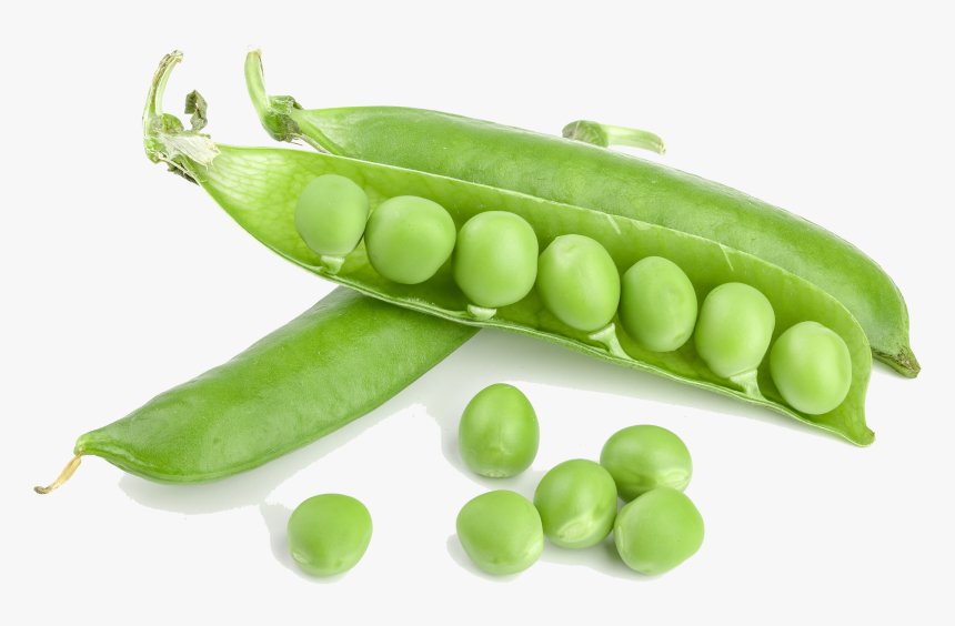 Detail Green Bean Png Nomer 9