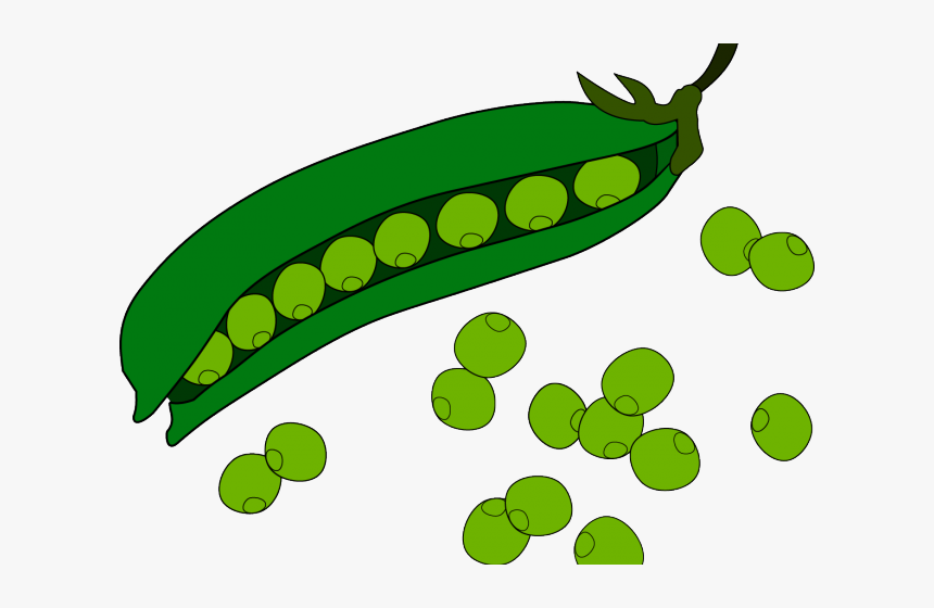 Green Beans Clipart - KibrisPDR